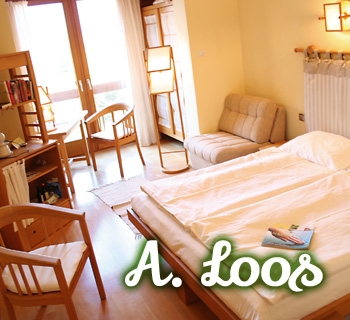 z-aloos-01_350x320 z-aloos-01_350x320