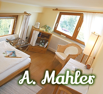 z-amahler-01_350x320 z-amahler-01_350x320