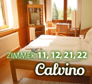 z-calvino-02_350x320 z-calvino-02_350x320
