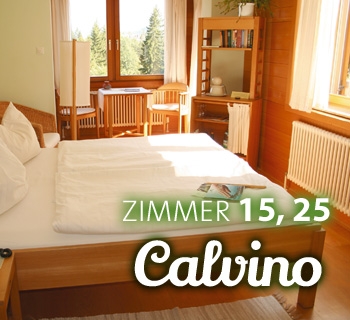 z-calvino-03_350x320 z-calvino-03_350x320