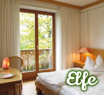 z-elfe-01_350x320 z-elfe-01_350x320